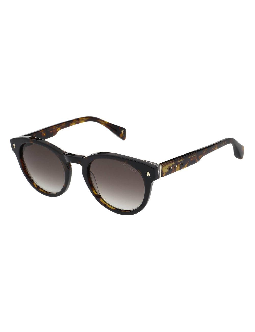 Ted Baker DAX - Round Chunky Temple サングラス メンズ ブラウン | Japan  EJXH-04712