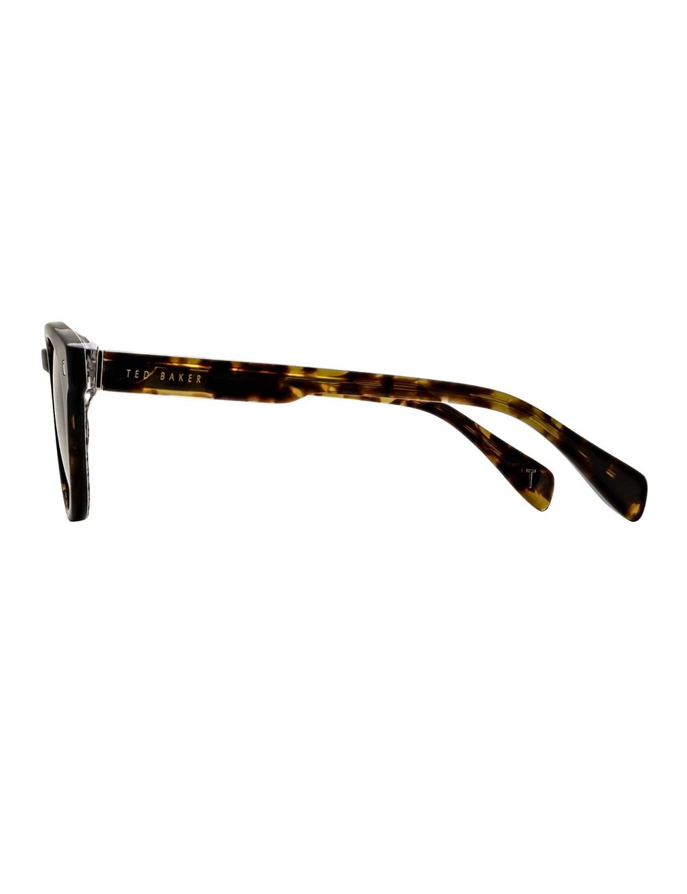 Ted Baker DAX - Round Chunky Temple サングラス メンズ ブラウン | Japan  EJXH-04712