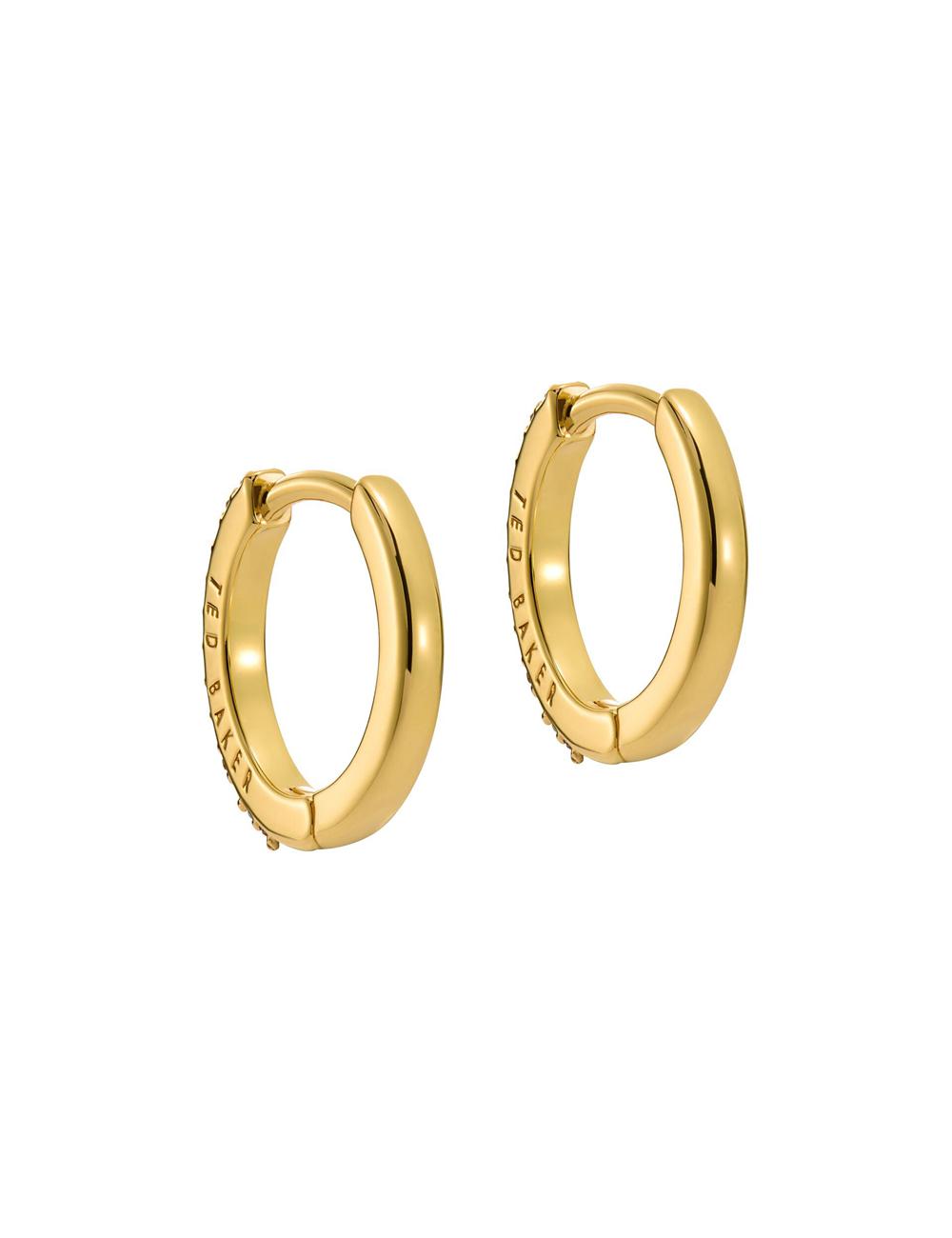 Ted Baker HEPLIE - Crystal Huggie Hoop ピアス レディース Multicol | Japan  YDVB-89321