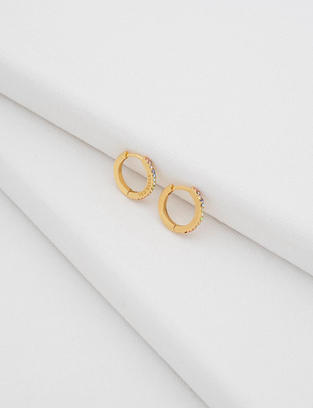 Ted Baker HEPLIE - Crystal Huggie Hoop ピアス レディース Multicol | Japan  YDVB-89321