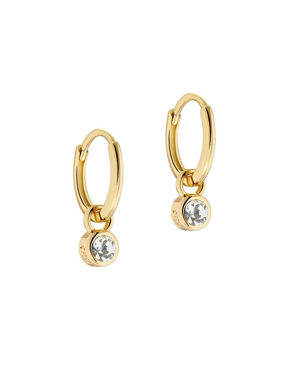 Ted Baker SINALAA - Crystal Pendant Huggie ピアス レディース ゴールド | Japan  UXGT-75140